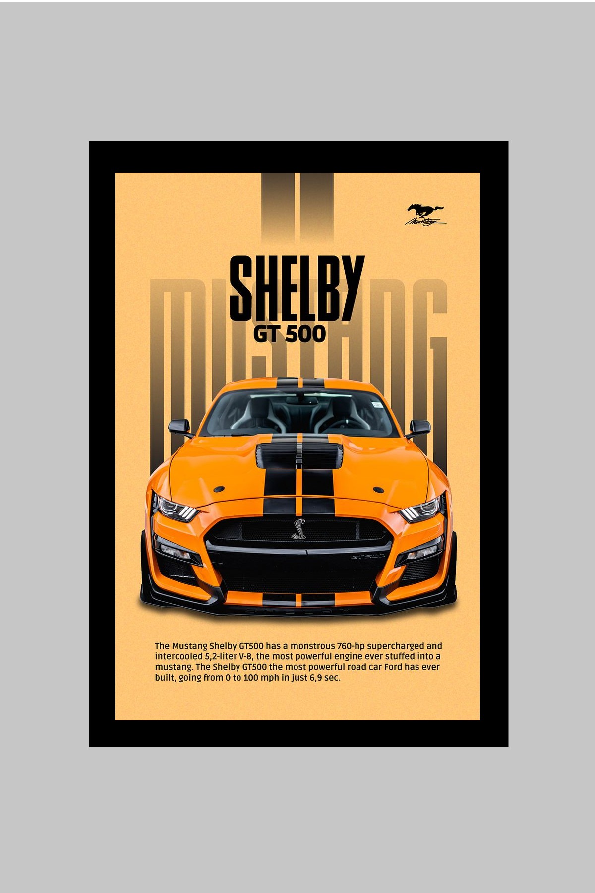 SHELBY GT500