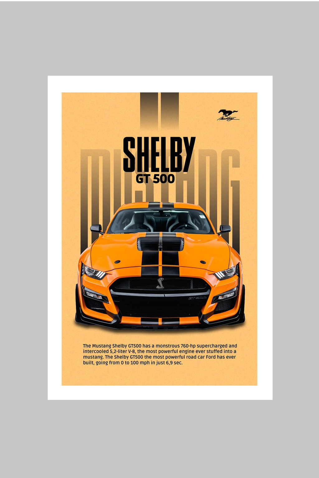 SHELBY GT500