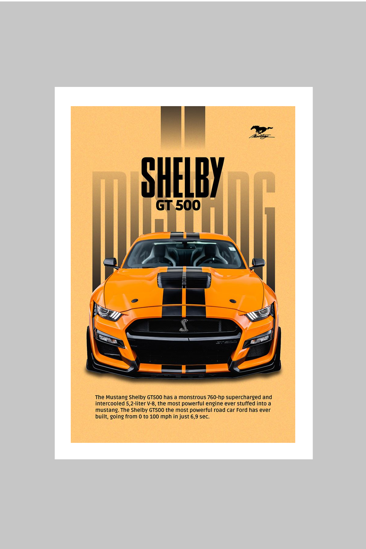 SHELBY GT500